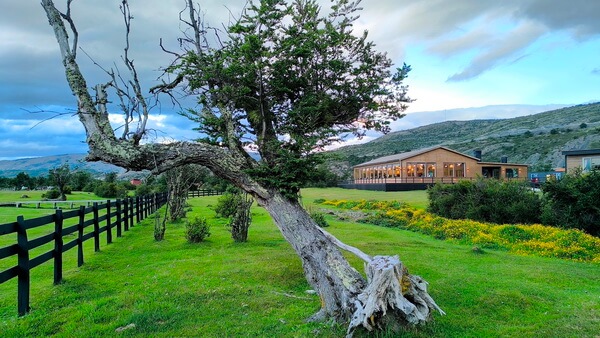 לינה בקרבת שמורת טורס דל פיינה, צ'ילה